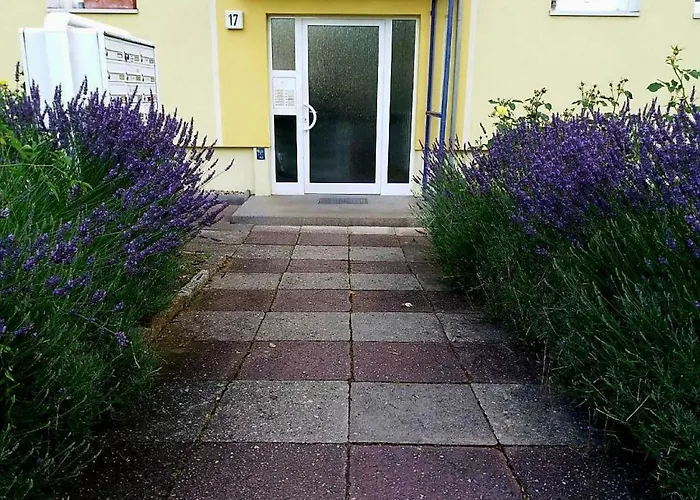 Helles Apartment Mit Balkon Am Grossen Garten Nahe Stadtzentrum