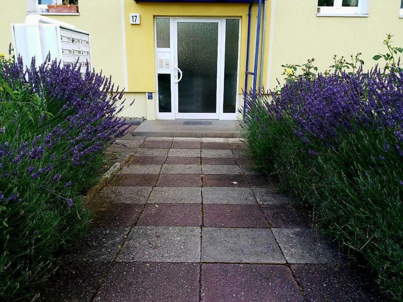 Apartment Helles Mit Balkon Am Grossen Garten Nahe Stadtzentrum