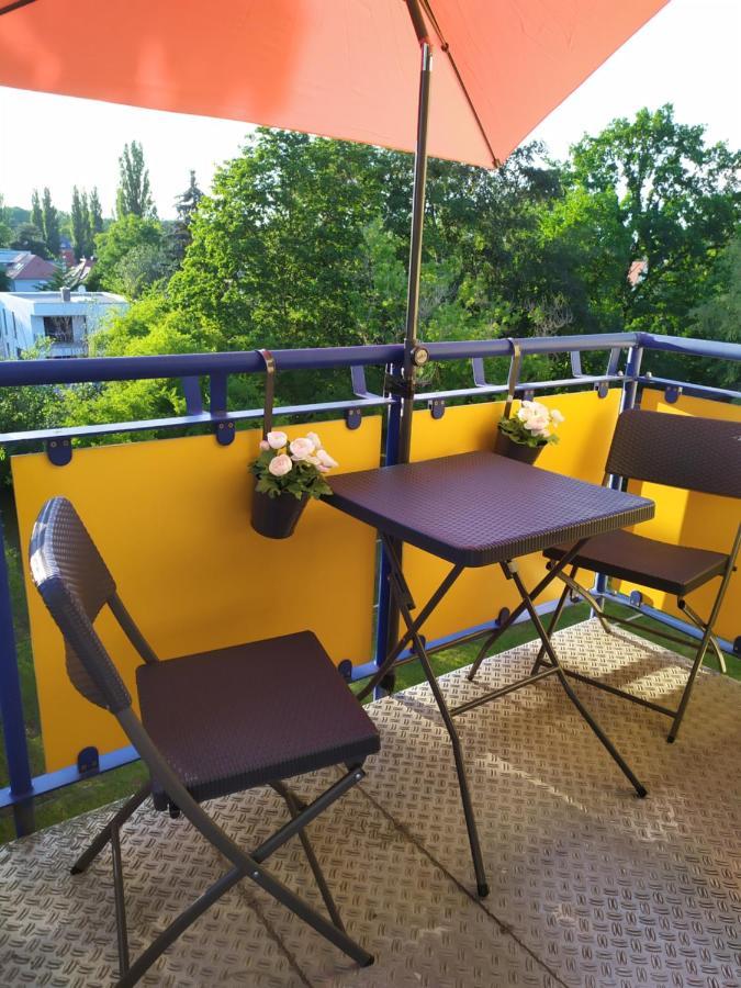 Appartamento Helles Mit Balkon Am Grossen Garten Nahe Stadtzentrum Dresda