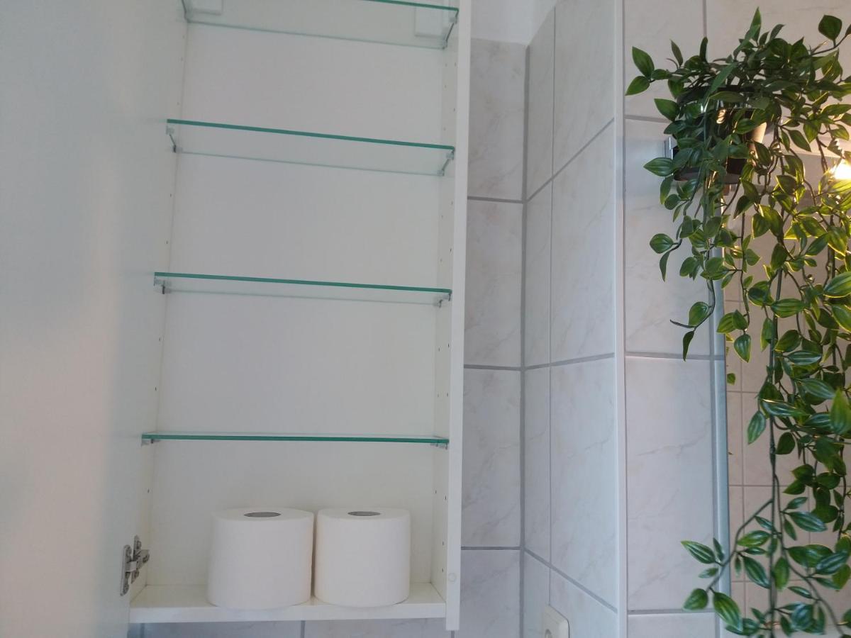 Helles Mit Balkon Am Grossen Garten Nahe Stadtzentrum Appartamento *